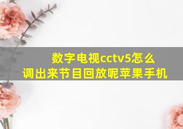 数字电视cctv5怎么调出来节目回放呢苹果手机