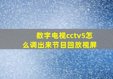 数字电视cctv5怎么调出来节目回放视屏