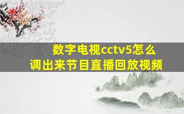 数字电视cctv5怎么调出来节目直播回放视频