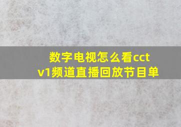 数字电视怎么看cctv1频道直播回放节目单