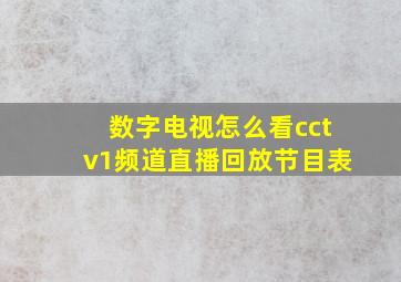 数字电视怎么看cctv1频道直播回放节目表