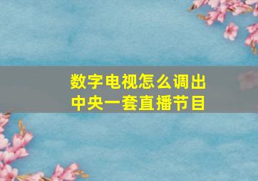 数字电视怎么调出中央一套直播节目