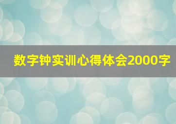 数字钟实训心得体会2000字