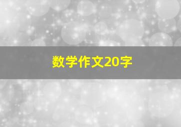 数学作文20字