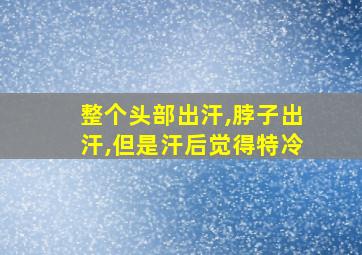 整个头部出汗,脖子出汗,但是汗后觉得特冷