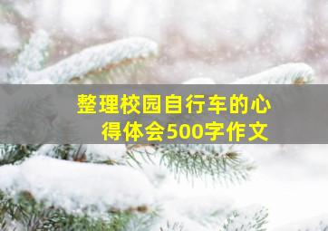 整理校园自行车的心得体会500字作文