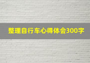 整理自行车心得体会300字