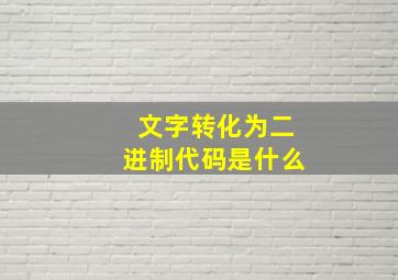 文字转化为二进制代码是什么