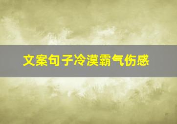 文案句子冷漠霸气伤感