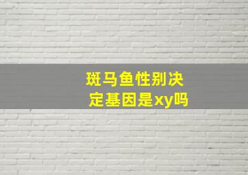 斑马鱼性别决定基因是xy吗