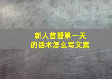 新人首播第一天的话术怎么写文案