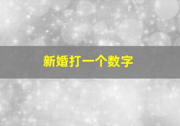 新婚打一个数字