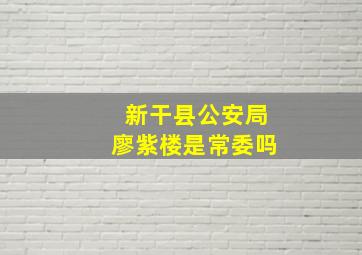 新干县公安局廖紫楼是常委吗