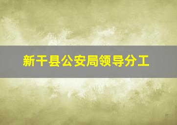 新干县公安局领导分工