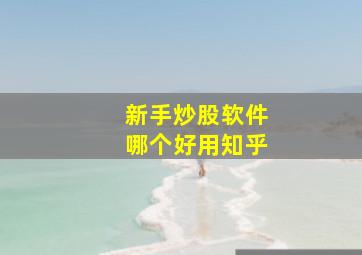 新手炒股软件哪个好用知乎