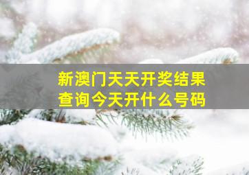 新澳门天天开奖结果查询今天开什么号码