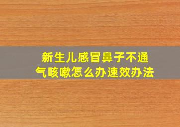 新生儿感冒鼻子不通气咳嗽怎么办速效办法