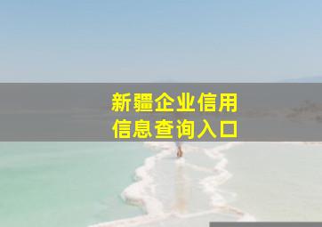 新疆企业信用信息查询入口