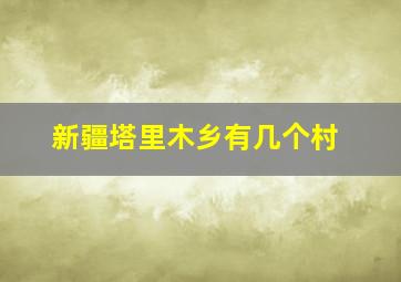 新疆塔里木乡有几个村