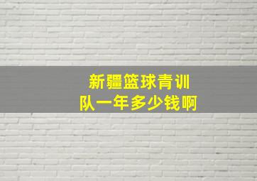 新疆篮球青训队一年多少钱啊