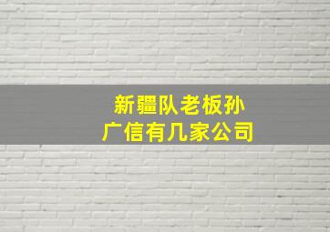 新疆队老板孙广信有几家公司