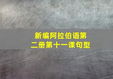 新编阿拉伯语第二册第十一课句型