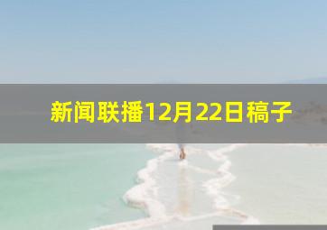 新闻联播12月22日稿子