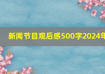 新闻节目观后感500字2024年