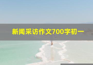 新闻采访作文700字初一