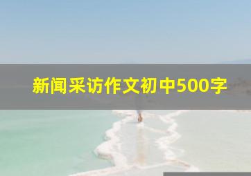 新闻采访作文初中500字