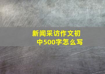 新闻采访作文初中500字怎么写