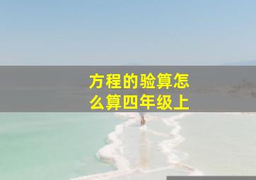 方程的验算怎么算四年级上