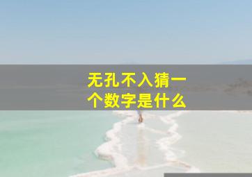 无孔不入猜一个数字是什么