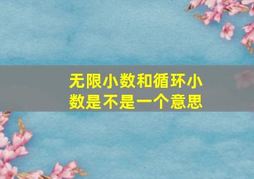 无限小数和循环小数是不是一个意思