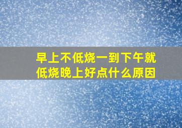 早上不低烧一到下午就低烧晚上好点什么原因