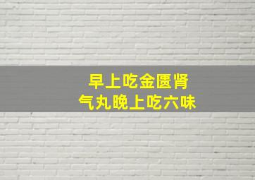 早上吃金匮肾气丸晚上吃六味