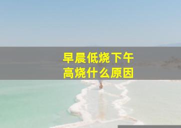 早晨低烧下午高烧什么原因