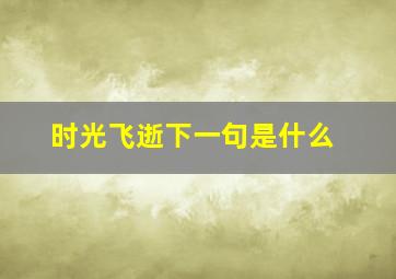 时光飞逝下一句是什么