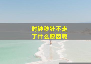 时钟秒针不走了什么原因呢