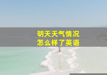 明天天气情况怎么样了英语