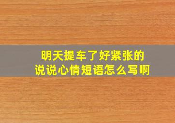 明天提车了好紧张的说说心情短语怎么写啊