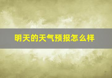 明天的天气预报怎么样