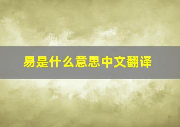 易是什么意思中文翻译