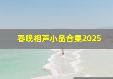 春晚相声小品合集2025