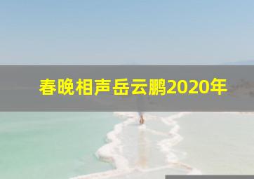 春晚相声岳云鹏2020年