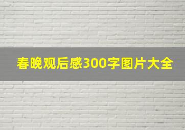 春晚观后感300字图片大全