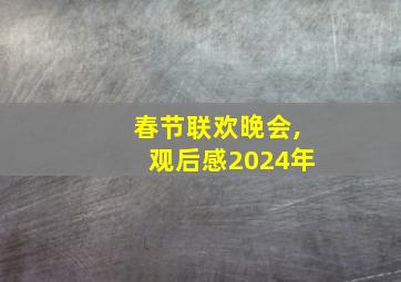 春节联欢晚会,观后感2024年