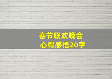 春节联欢晚会心得感悟20字