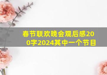 春节联欢晚会观后感200字2024其中一个节目