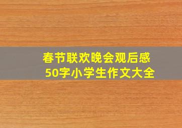 春节联欢晚会观后感50字小学生作文大全